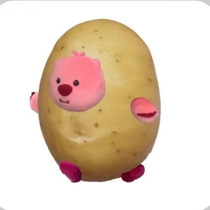 zhhhhhh
