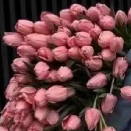 有你就好❤️🐯