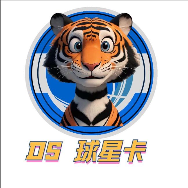 Ds球星卡