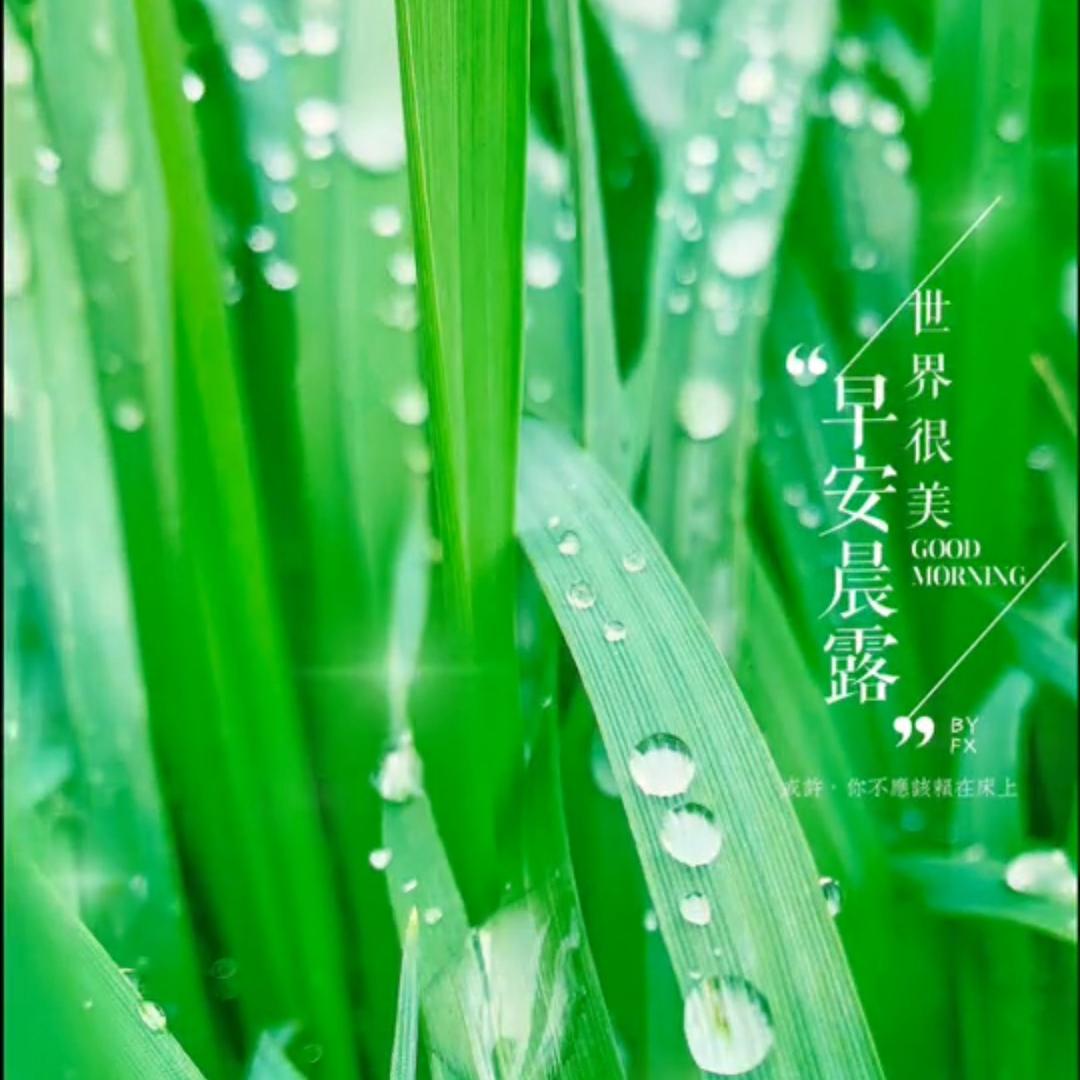 绿色🍀心晴