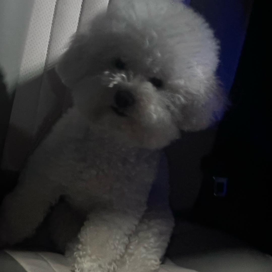 孞琞