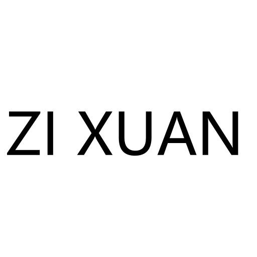 深圳南油ZIXUAN服饰