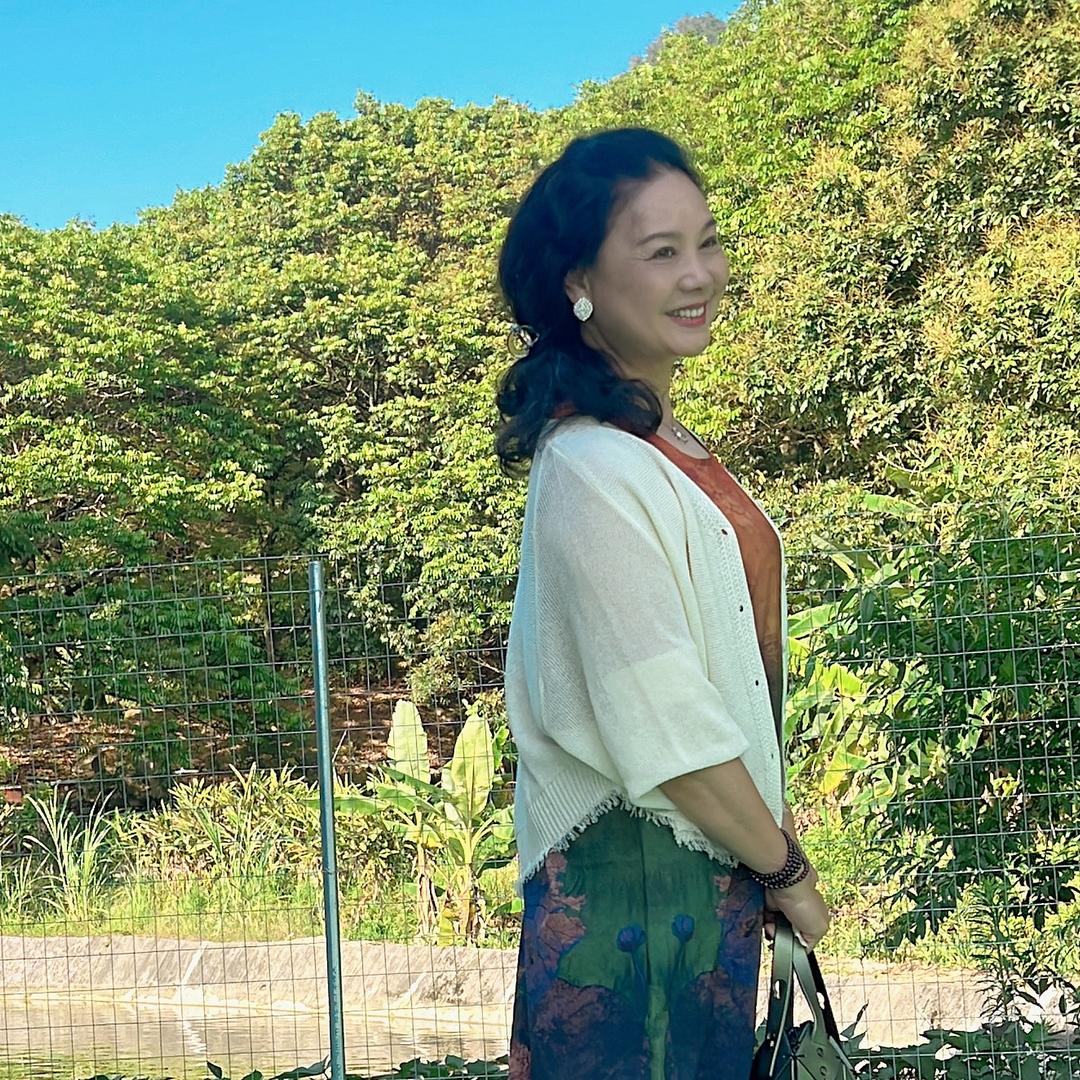炫数