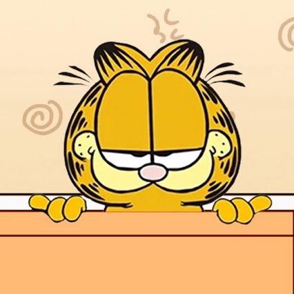 电竞加菲猫
