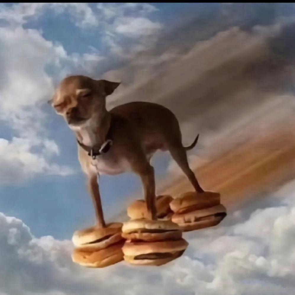 饭也太好吃了吧