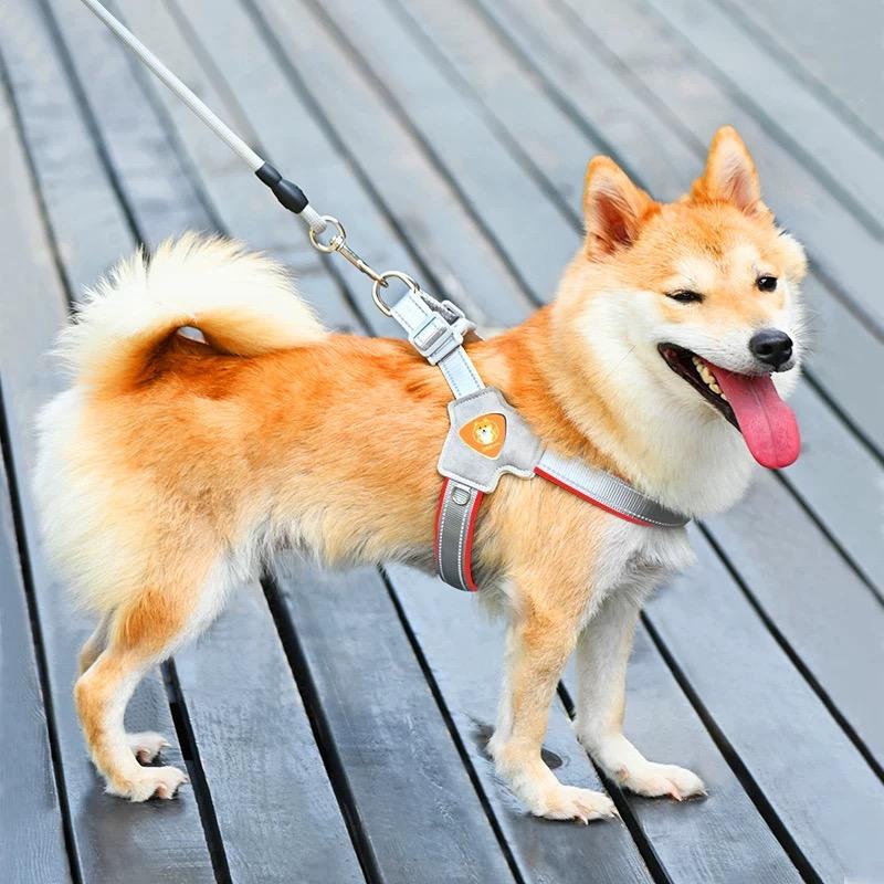燕郊萌动宠物用品-猫粮*犬粮*零食*用品