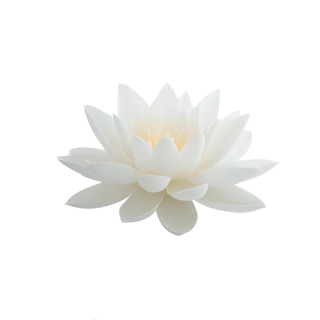 你好烦