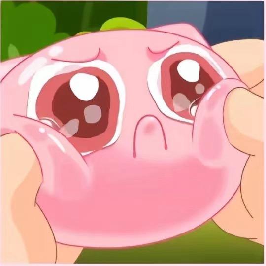少看一会会