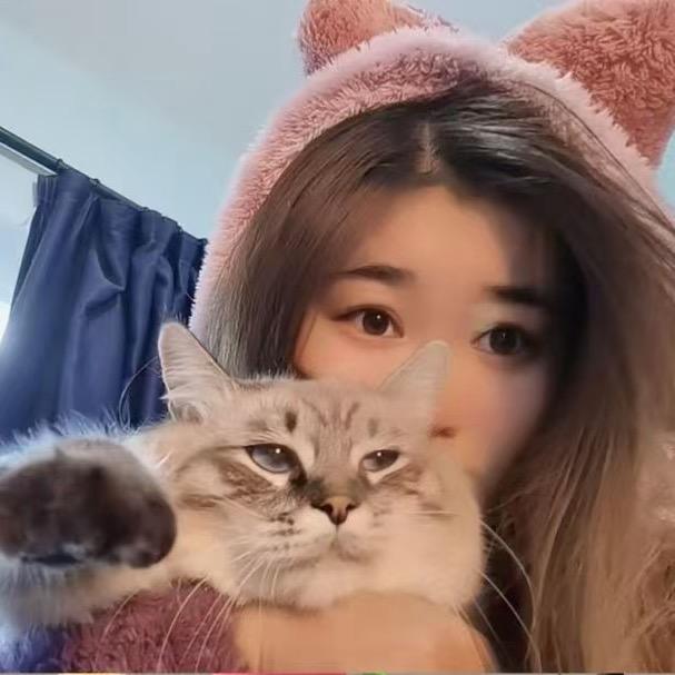 🛵🐶🐱