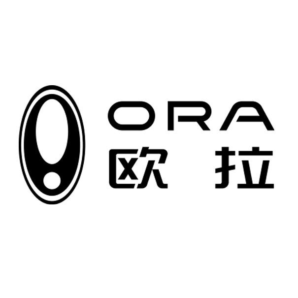 欧拉汽车 石家庄 河北欧咖