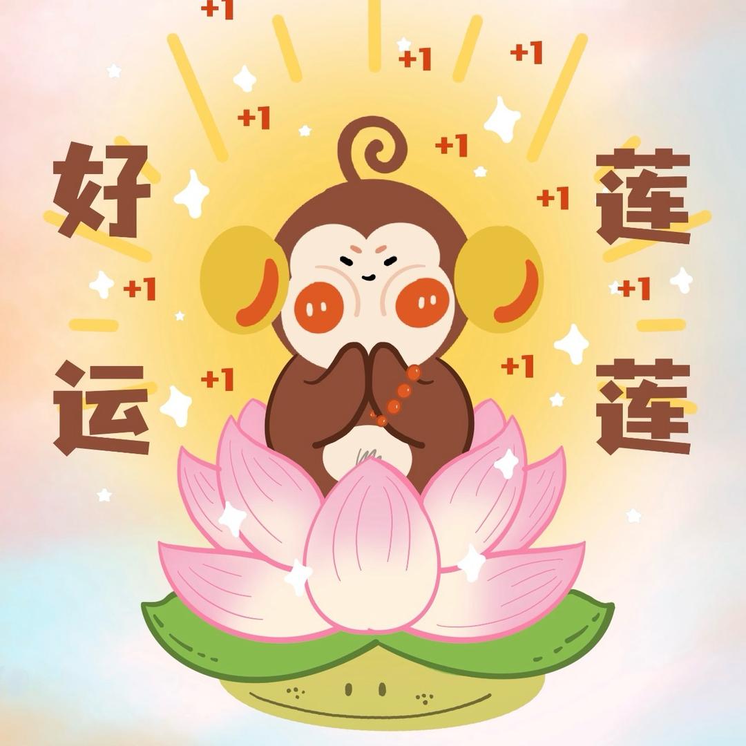 黔灵山在逃母猴🐒