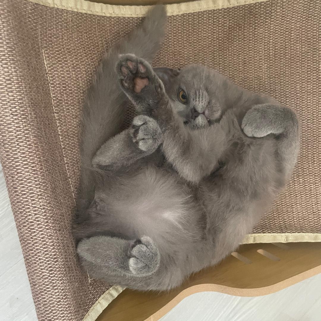 轨迹