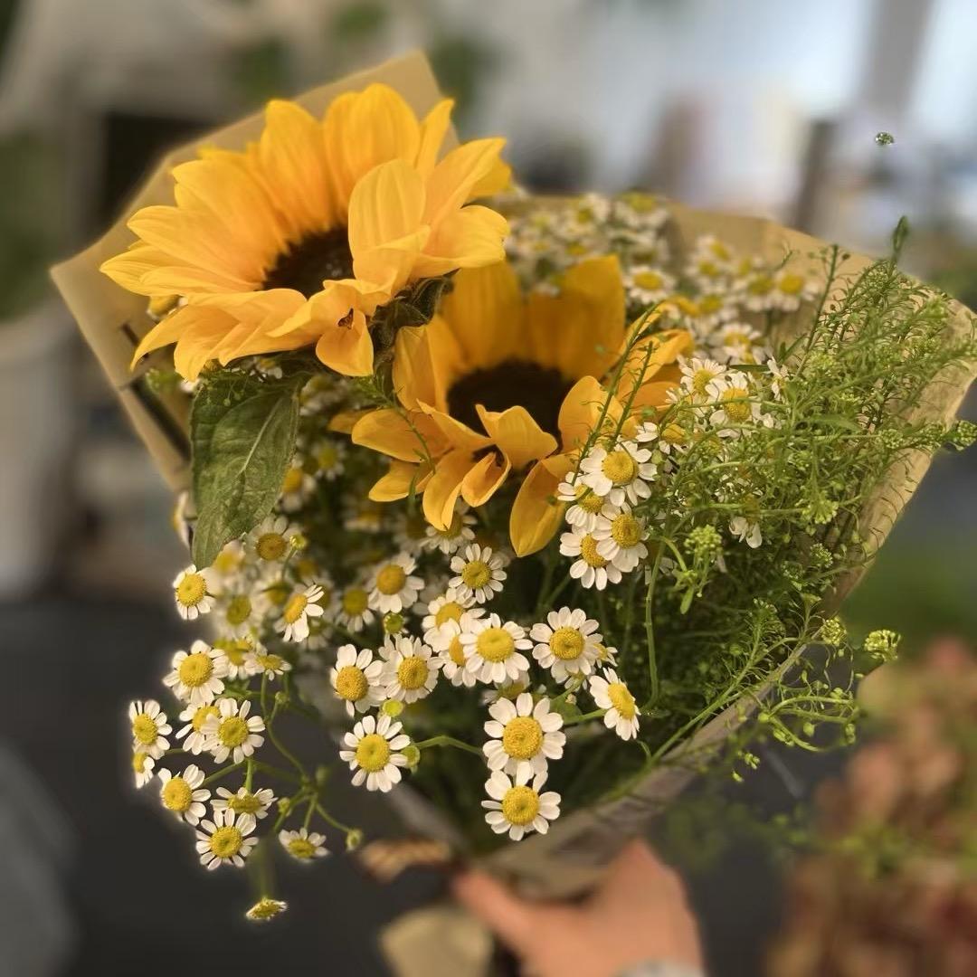 保护小小明鸭  ˃̵ ᴗ ˂̵ᐝ