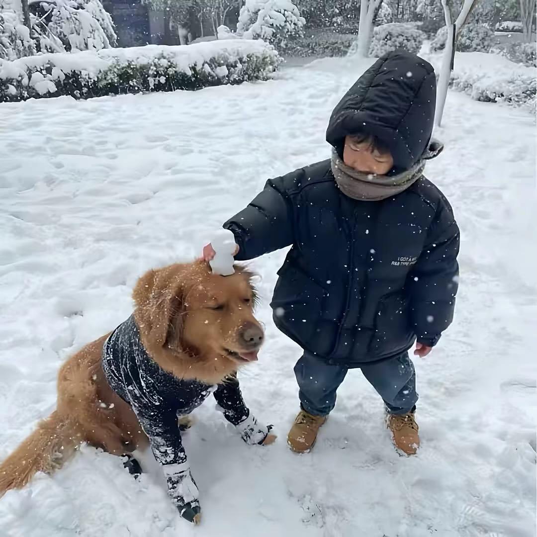 一条淡水鱼