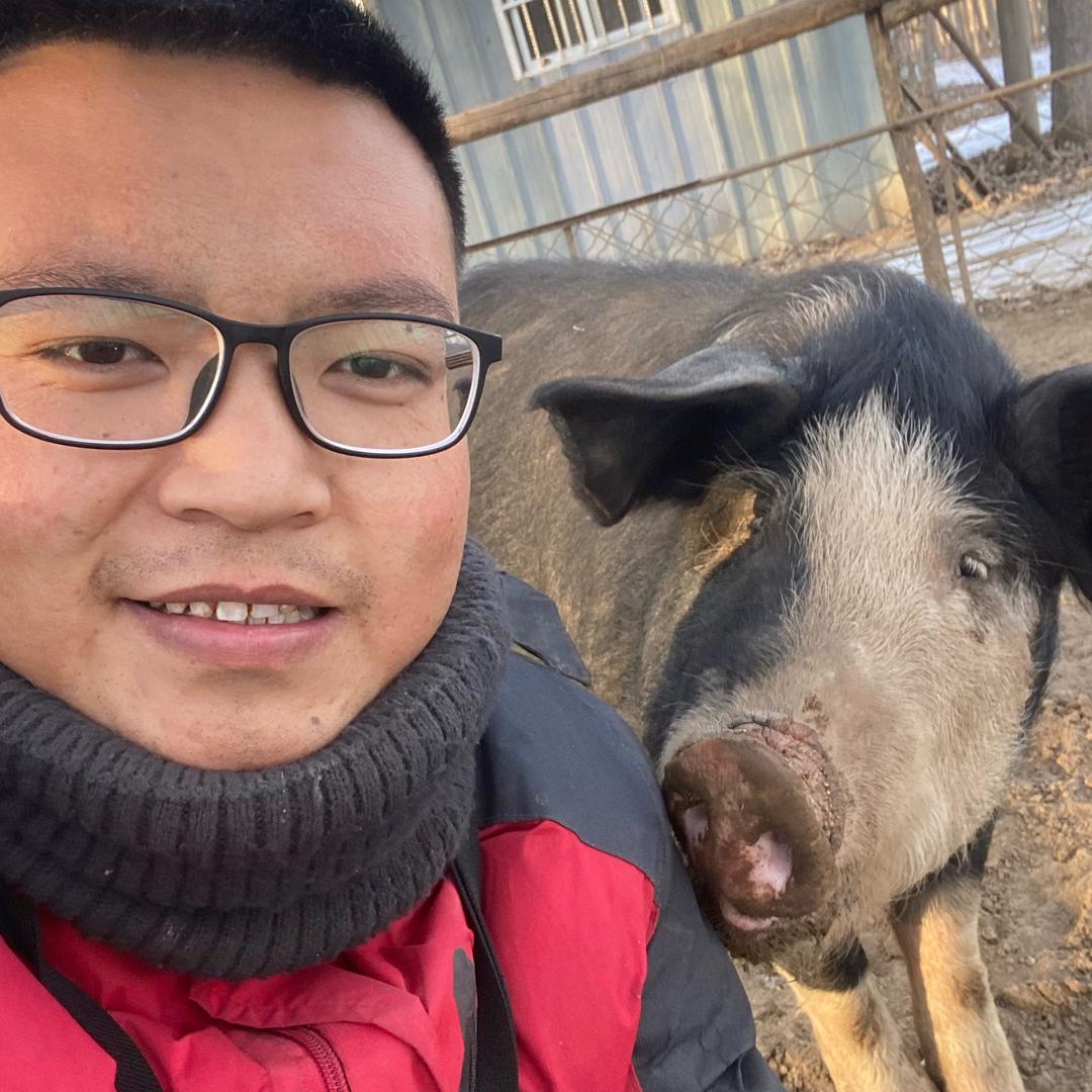 小杜家🇨🇳粮食黑猪