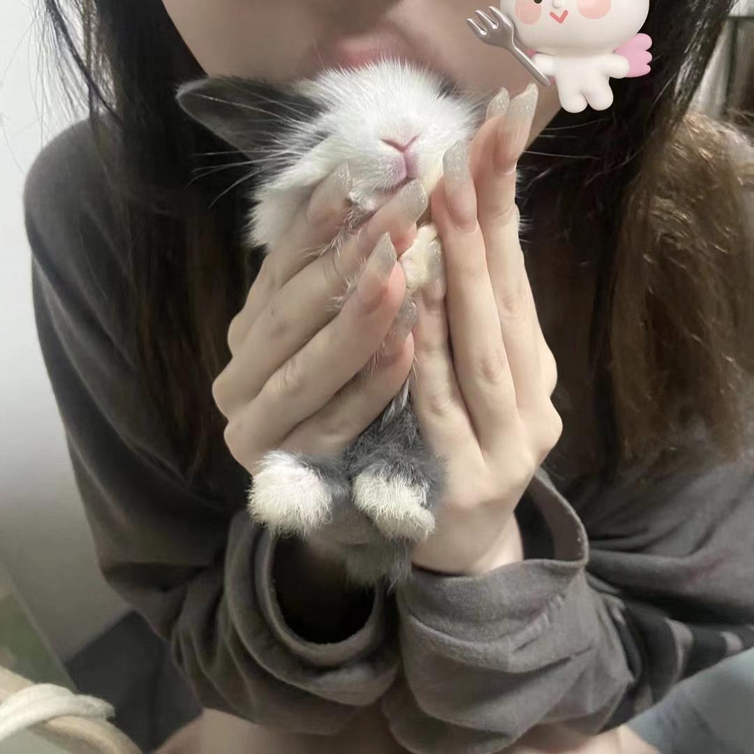 不可以红烧