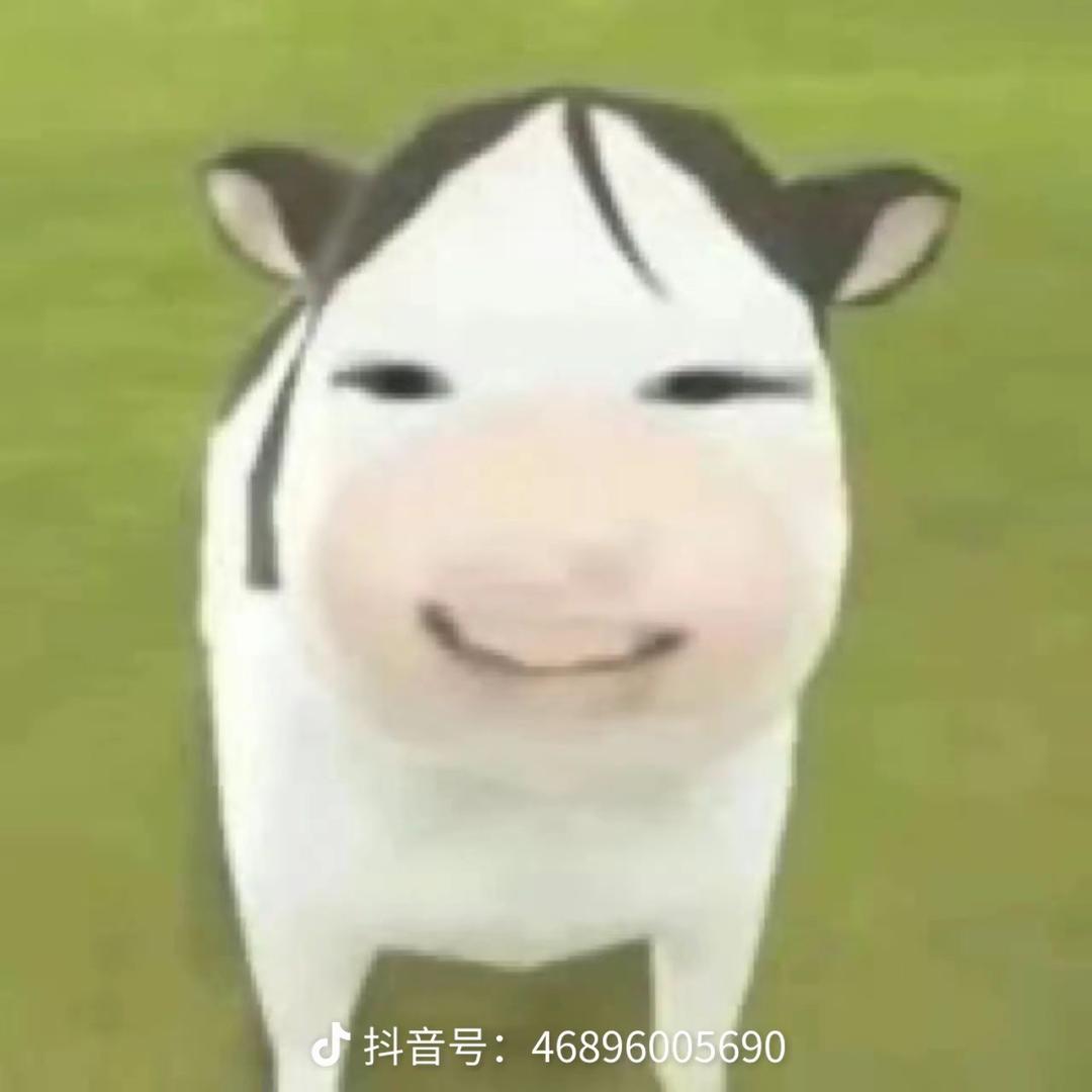 赵高玩