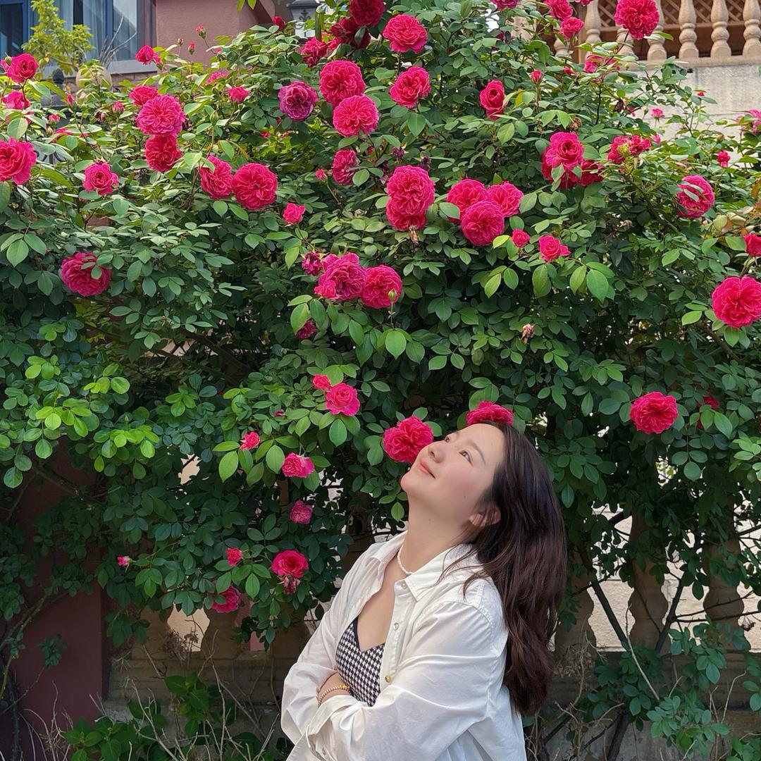 杨杨得意😎