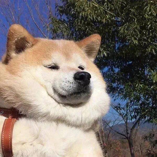 对对对