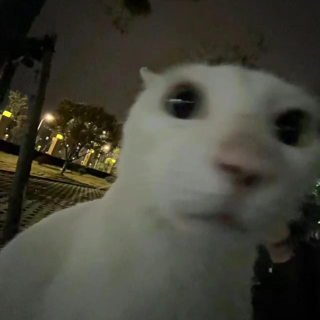 正溟溟_kir（独立生活版）