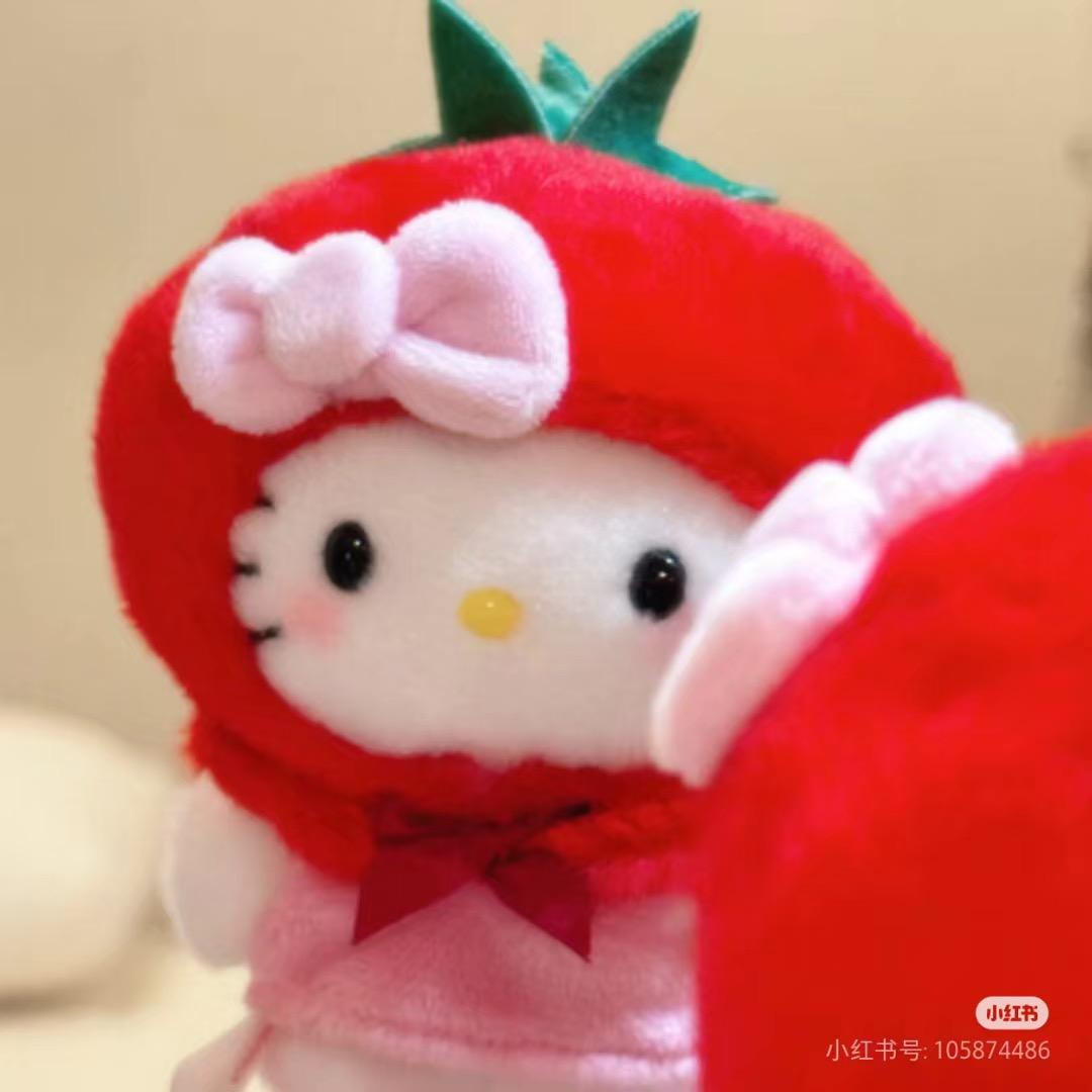 西红狮汁(爆瘦版