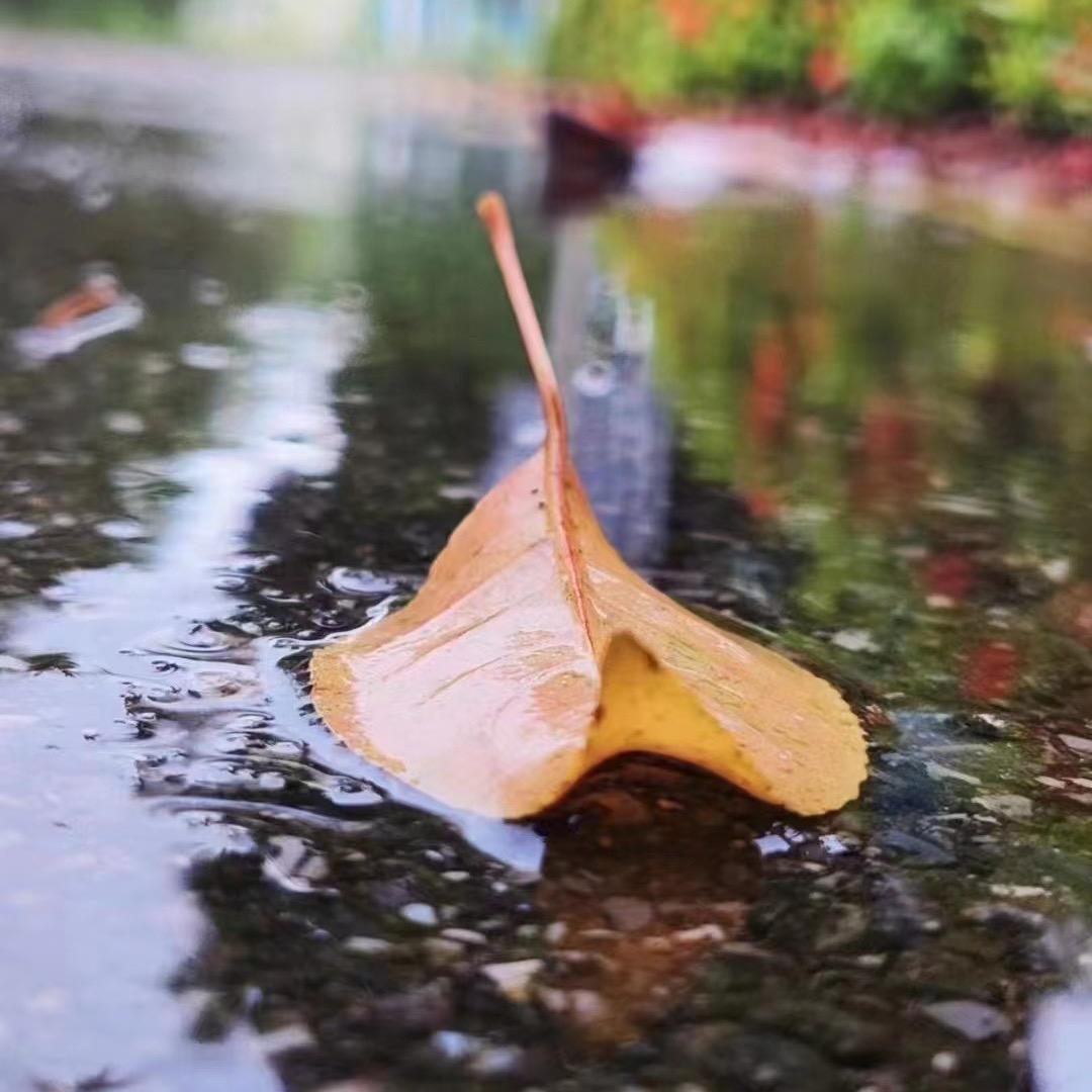 是酒窝吖