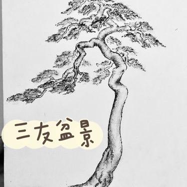 三友盆景