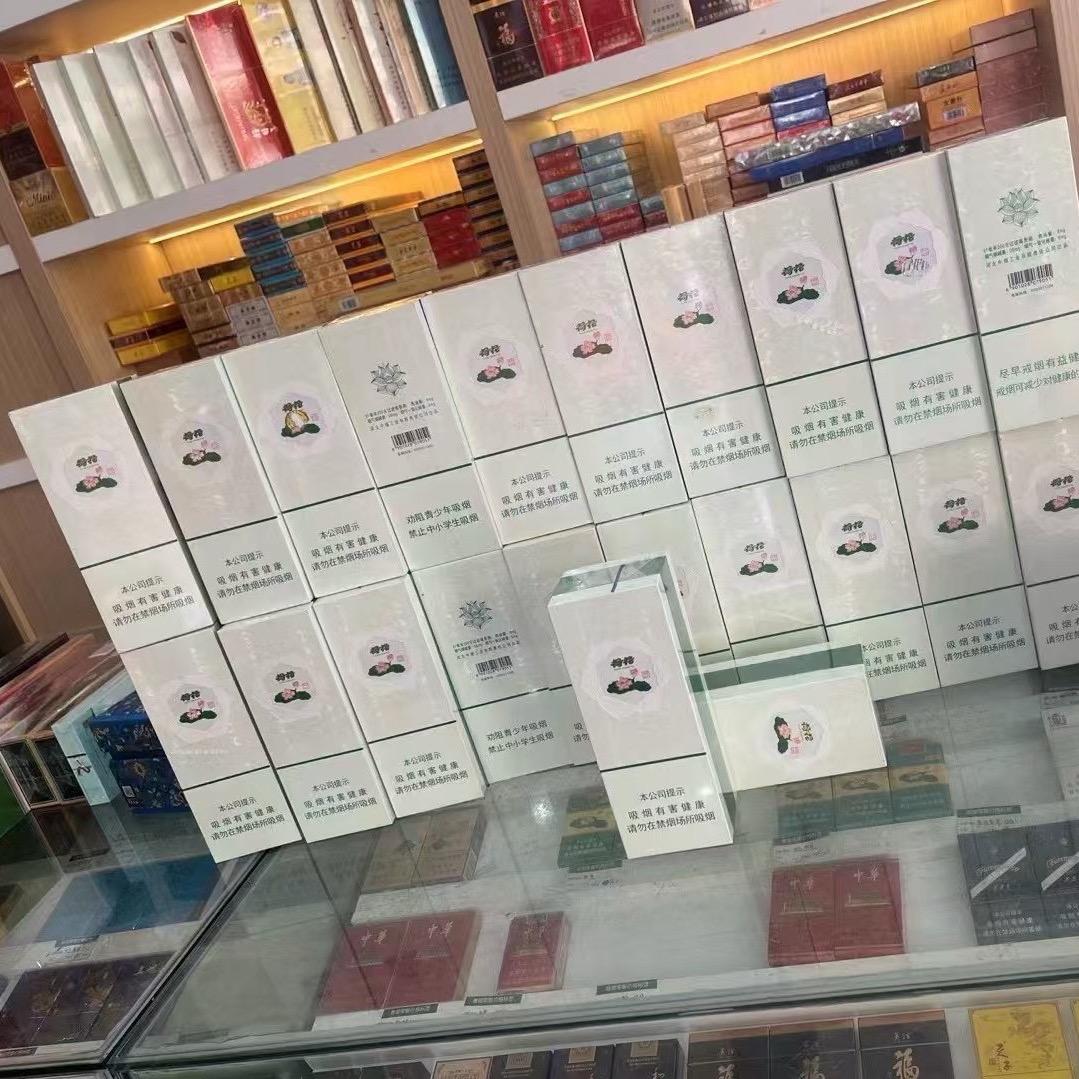 廊坊荷花