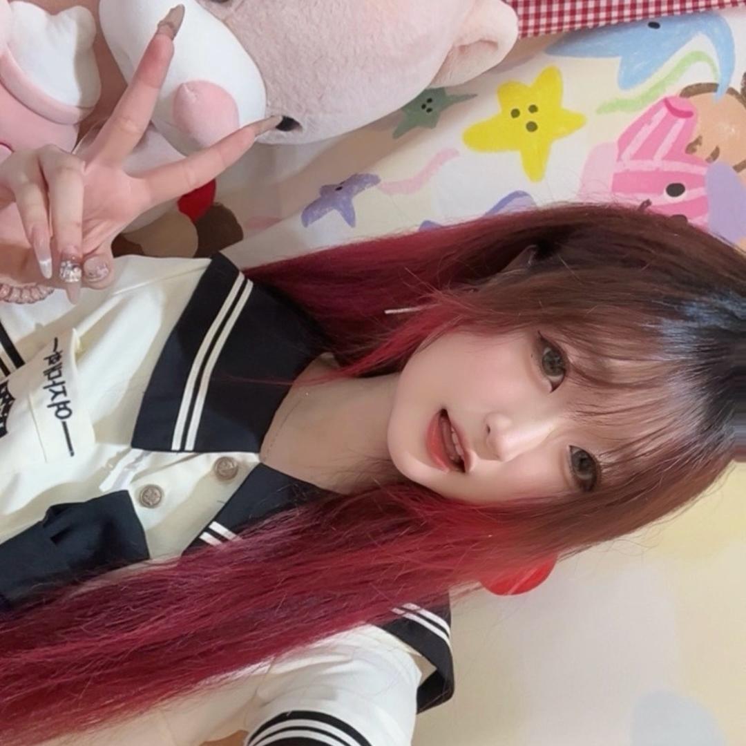 呆呆猫