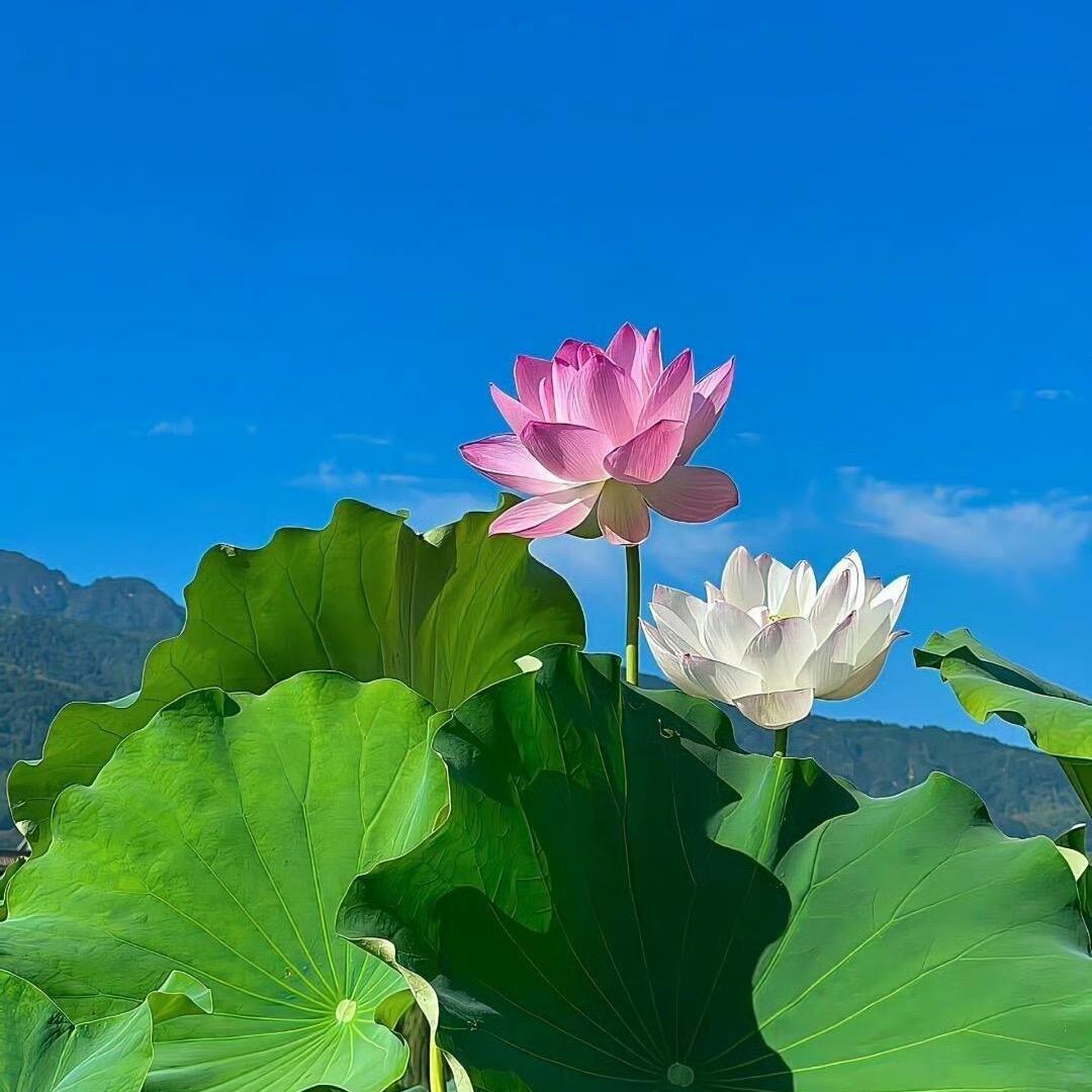 见天地，见众生，见自己