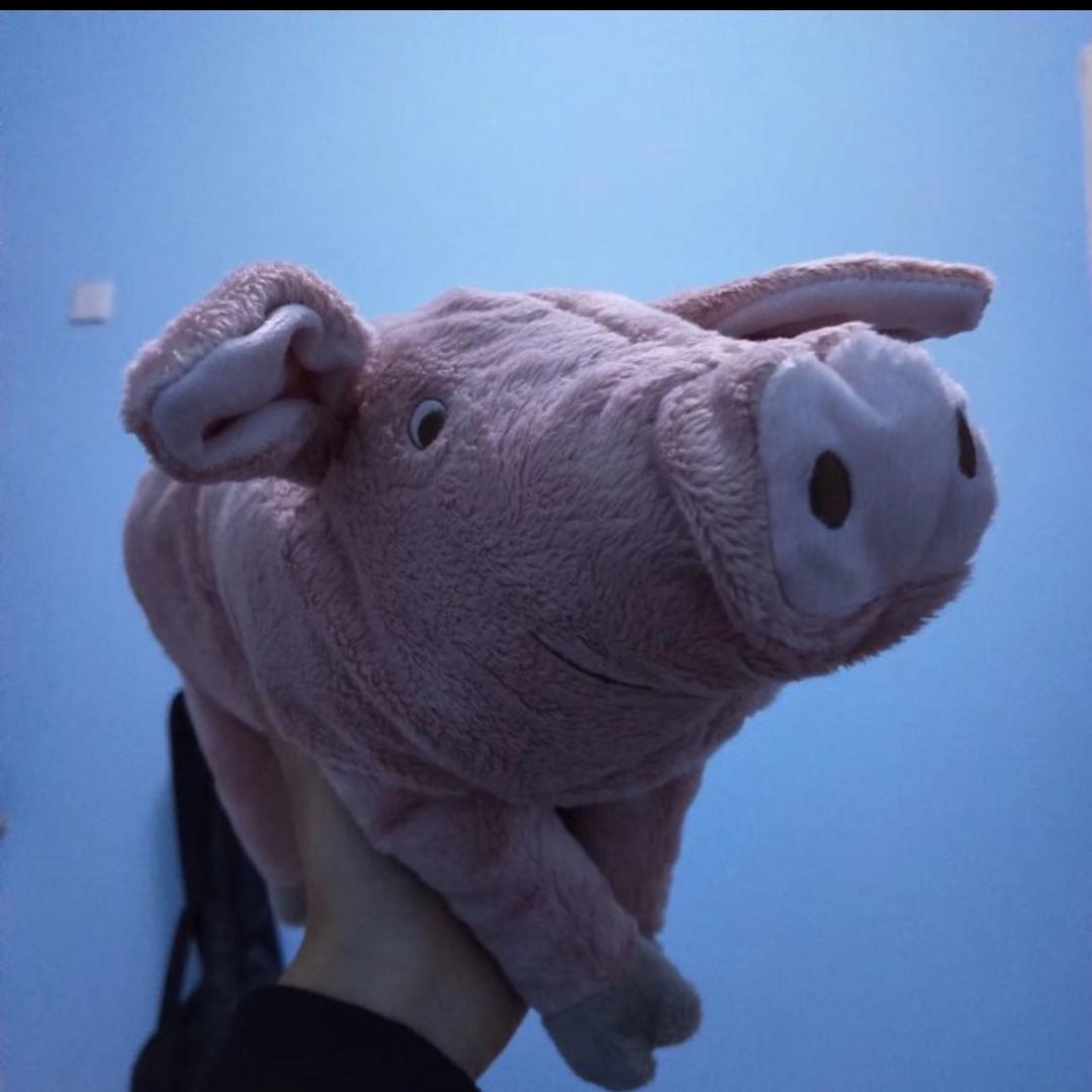 Y.
