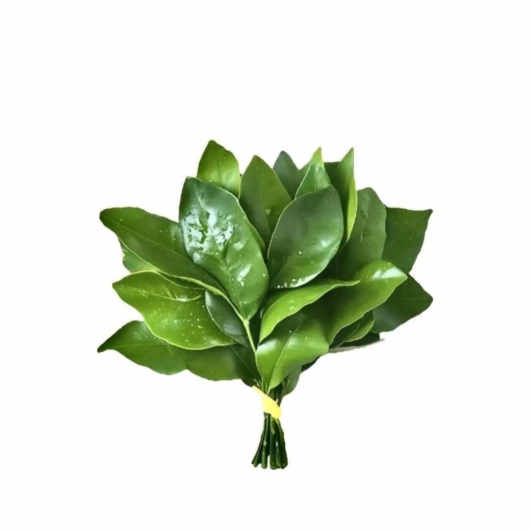 周无