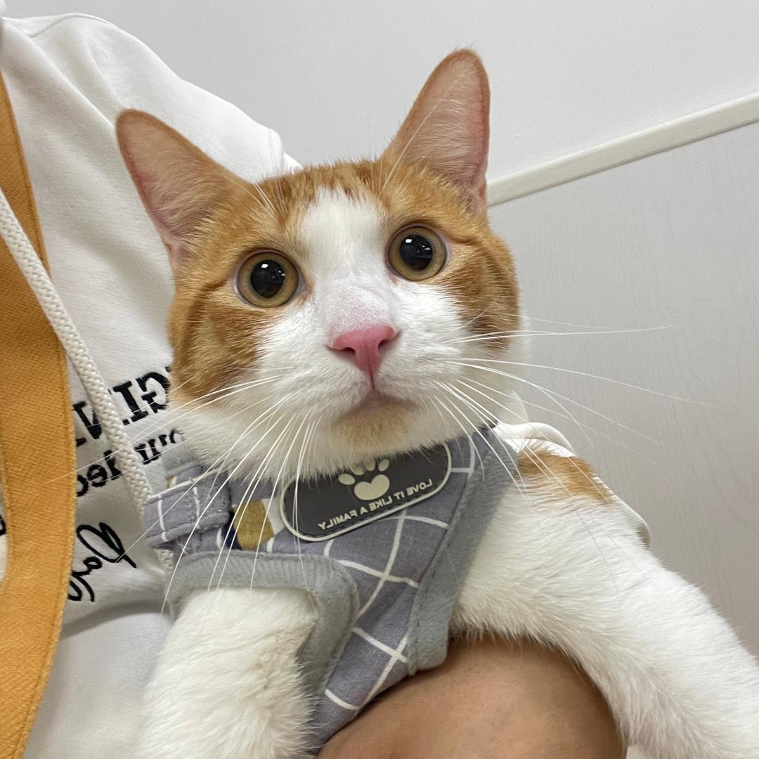 金洋家进口家居生活用品店