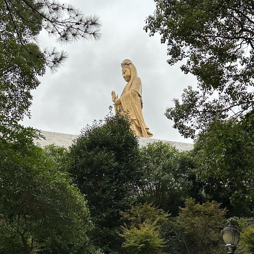 财源滚滚来💰（6）