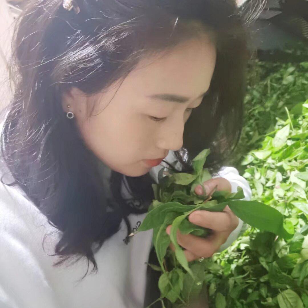 武夷山市一抹清茶坊