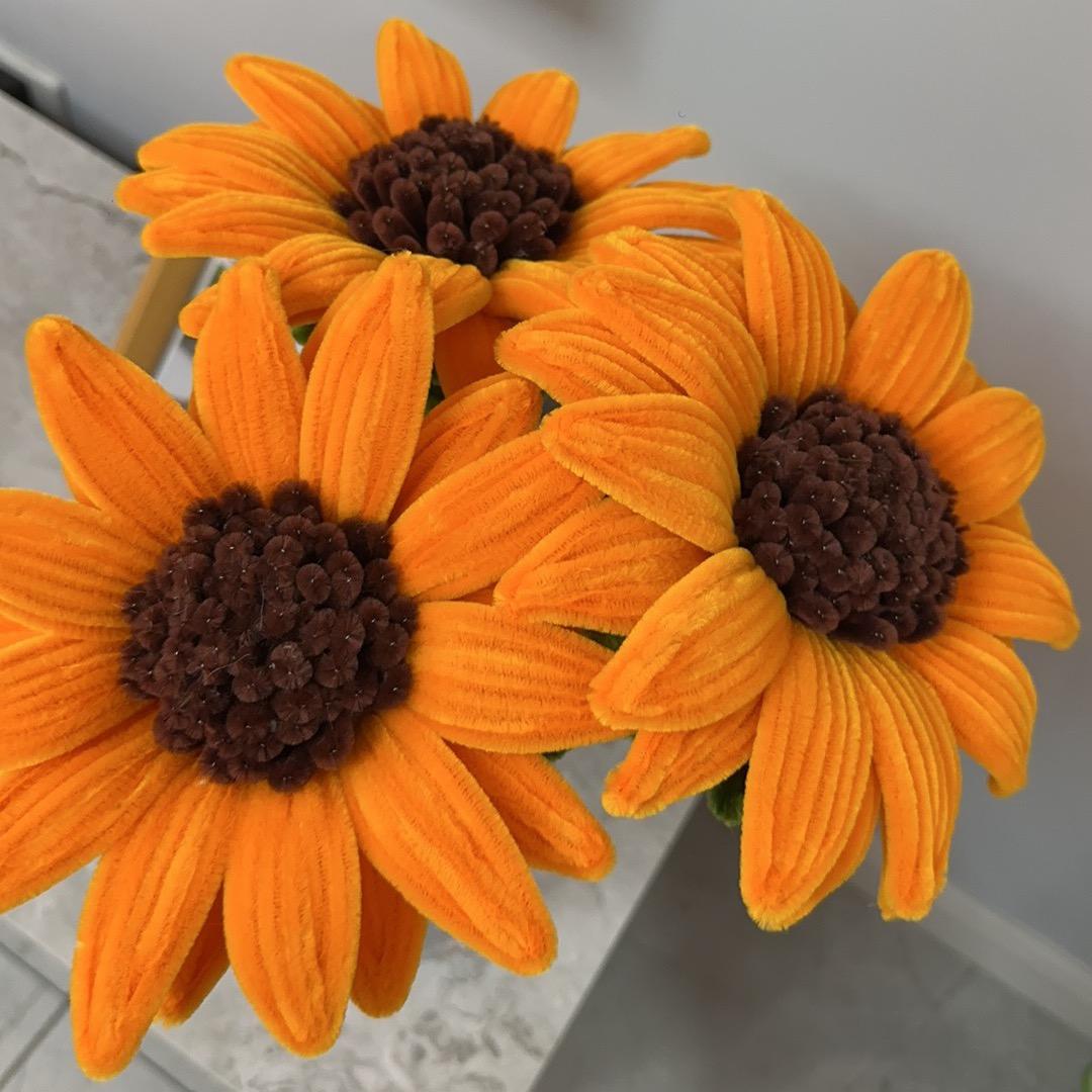笑笑🌻