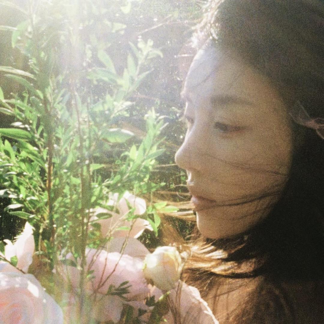清纯茉莉花茶