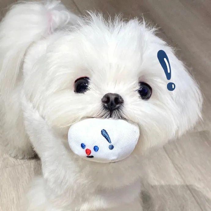 小贺！