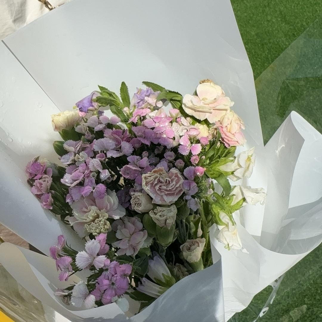 悲伤小狗