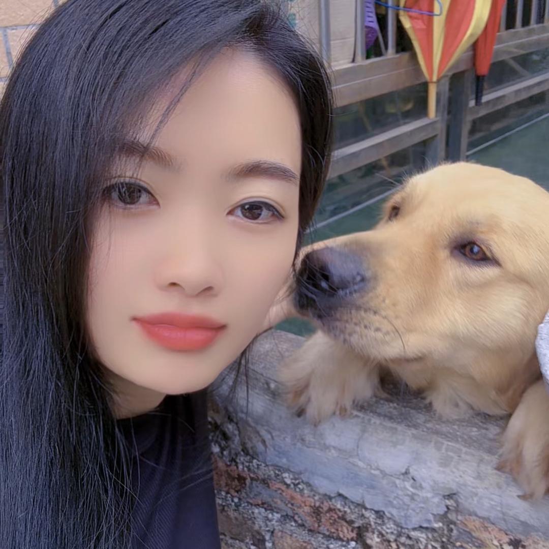 梦译的狗仔队