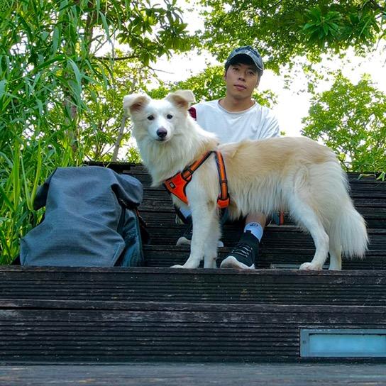 利他