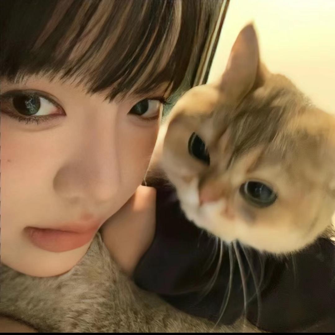 鸡蛋羹