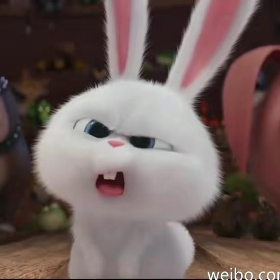 好多鱼