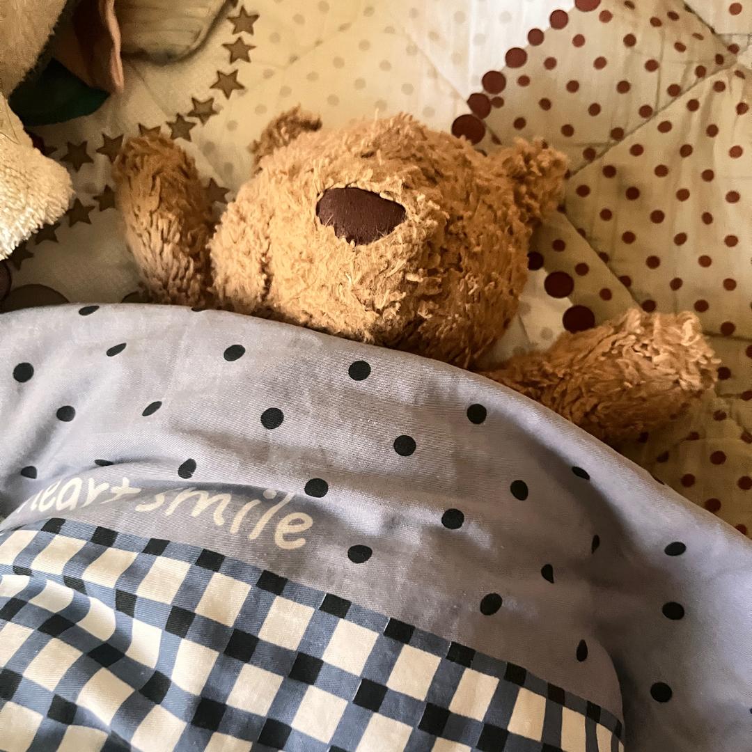 一只阿贝贝🐻