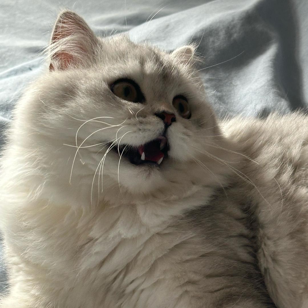 夕夕（＾Ｏ＾☆♪