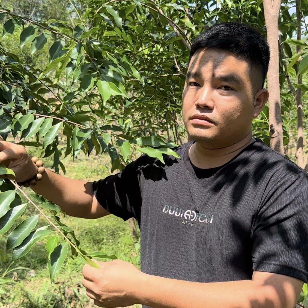 琼脂天香【一片万钱】