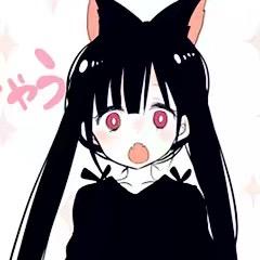 一颗猫丸子