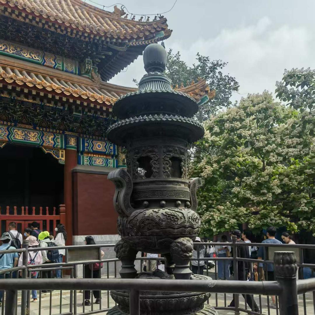 北京陪～珍