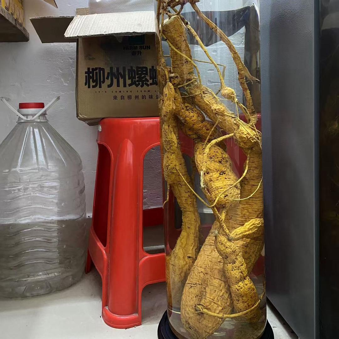 磁场不同，高度不同。