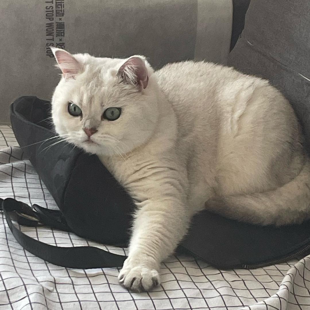 🌈money(为宁波小洛熙发声)🌈